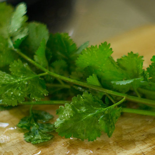 Cilantro: Love It or Leave It? Cilantro: Love It or Leave It?