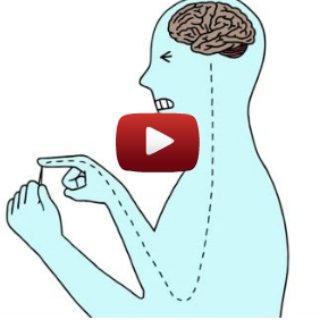 How Do Pain Relievers Work?