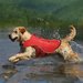 Kurgo Surf n Turf Dog Life Jacket