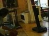 This Dog Plays D!