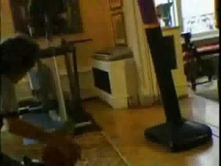 This Dog Plays D!