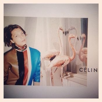 Céline Fall 2012 Ad Campaign 