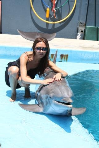 Victoria Beckham swam with the dolphins in July.
Source: Twitter user victoriabeckham
Victoria Beckham swam with the dolphins in July.
Source: Twitter user victoriabeckham