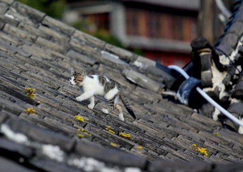 Source: Flickr user aroid
Source: Flickr user aroid