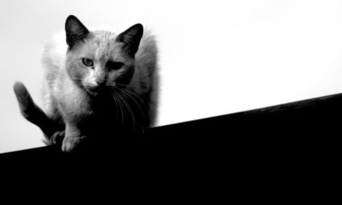 Source: Flickr user Aplomb
Source: Flickr user Aplomb