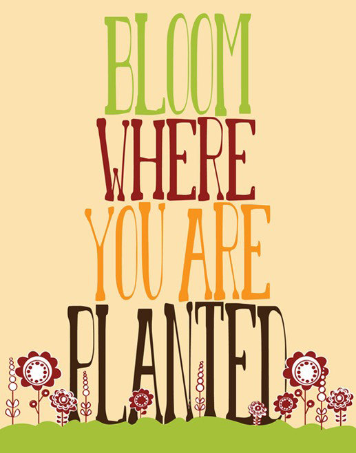 I'm loving the tall letters and cute flowers on this Bloom Where You Are Planted ($21) print.
I'm loving the tall letters and cute flowers on this Bloom Where You Are Planted ($21) print.