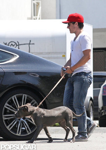 Josh Hutcherson walked with his dog, Driver, in LA.
Josh Hutcherson walked with his dog, Driver, in LA.