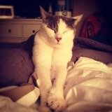 Ready for bed