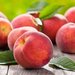 Pick Your Own Fruits From a Local Orchard