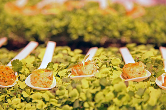 One Market's Dungeness Crab Cakes One Market's Dungeness Crab Cakes
