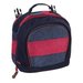 Gap Kids Canvas Lunch Bag ($17)