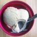 Vanilla Bean Ice Cream