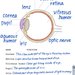 Notability