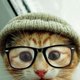 Beccak96