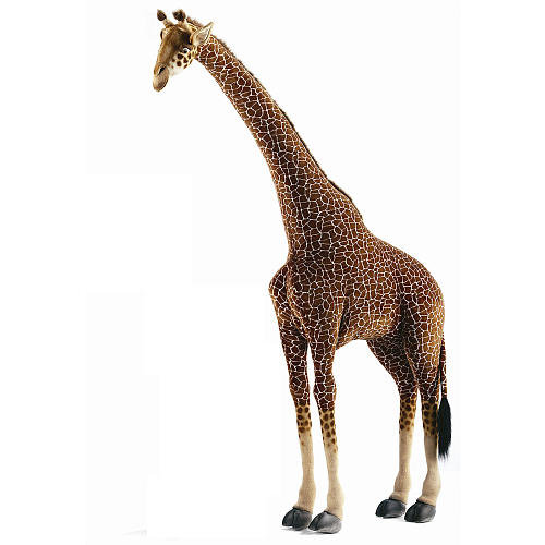 Extra-Large Giraffe ($850) Extra-Large Giraffe ($850)