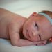 Welcome Hadley!
