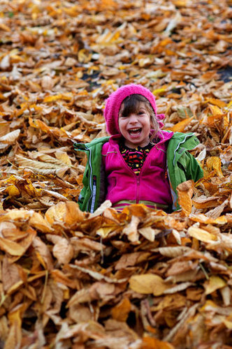 Jumping in the Leaves Jumping in the Leaves