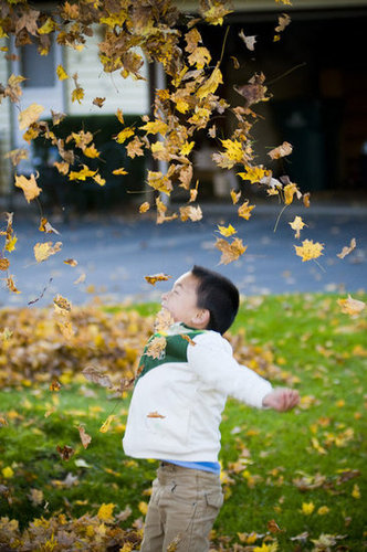 Slow-Motion Leaf Toss Slow-Motion Leaf Toss