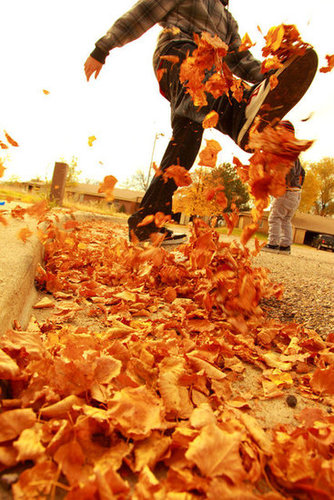 Kicking Up Fall Kicking Up Fall