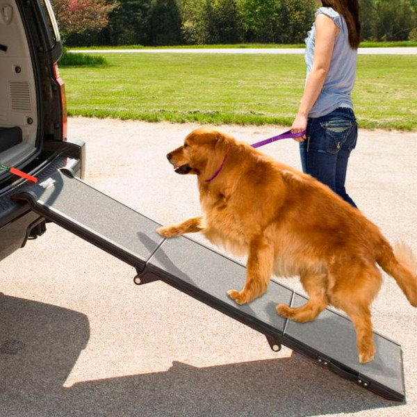 A Cargo Ramp A Cargo Ramp