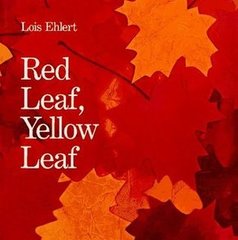 Fall Books For Kids