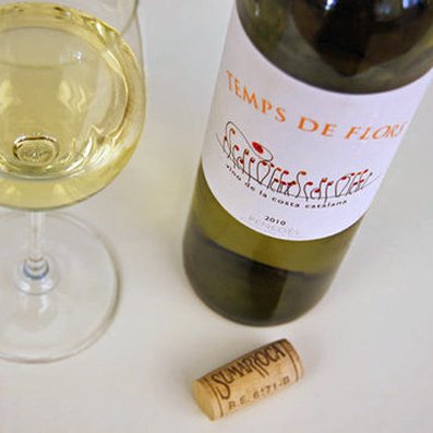 Temps de Flors 2010 Review
