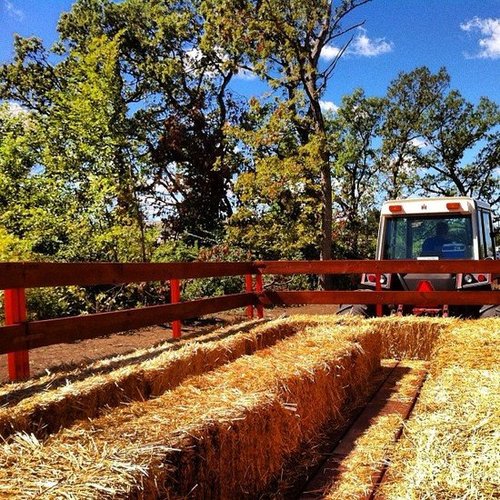 Take a Hay Ride Take a Hay Ride