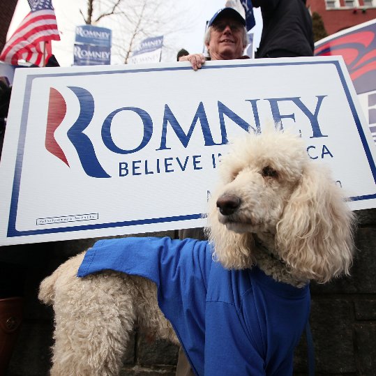 Barack Obama and Mitt Romney Election Pet Gear Barack Obama and Mitt Romney Election Pet Gear