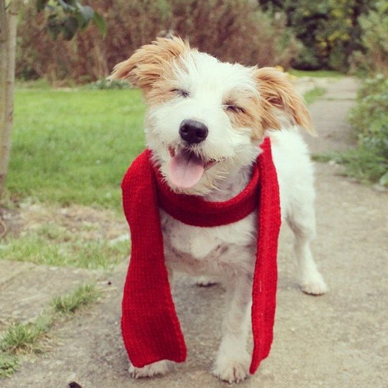 I appreciate a jaunty accessory.
Source: Instagram User ginny_jrt
I appreciate a jaunty accessory.
Source: Instagram User ginny_jrt