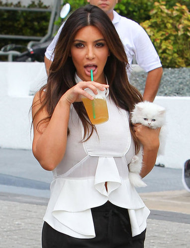 Kim Kardashian Cuddles Up to Her Cute New Companion Mercy Kim Kardashian Cuddles Up to Her Cute New Companion Mercy