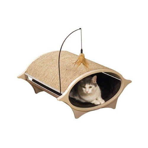 A Scratchable Scratcher A Scratchable Scratcher