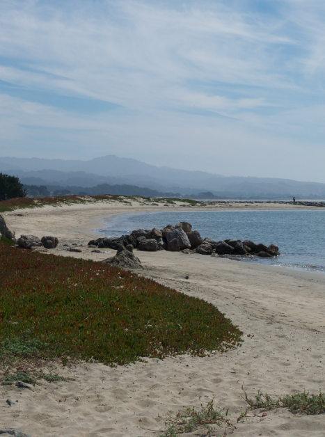 beach time 