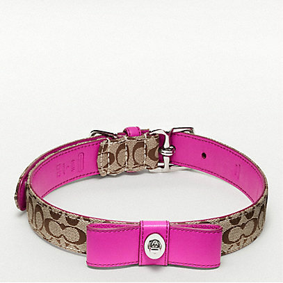 Coach Signature C Turnlock Bow Collar ($68)