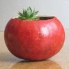 How to Use Up Leftover Fall Fruits and Vegetables