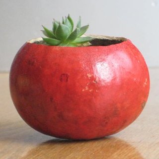 How to Use Up Leftover Fall Fruits and Vegetables