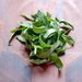 Chiffonade Cut