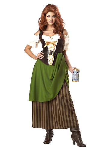Renaissance Tavern Maiden Costume ($47)