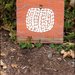 Pumpkin Seed Painting