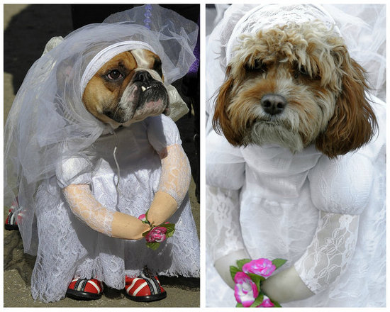 Here Come the Brides Here Come the Brides