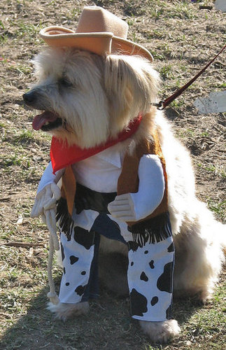 Git Along Little Doggie Git Along Little Doggie