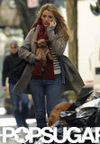 Blake Lively Brings Pups Baxter and Penny Along For Work