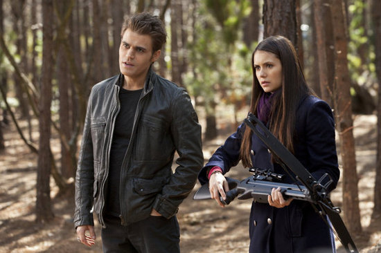 Stefan and Elena From The Vampire Diaries
