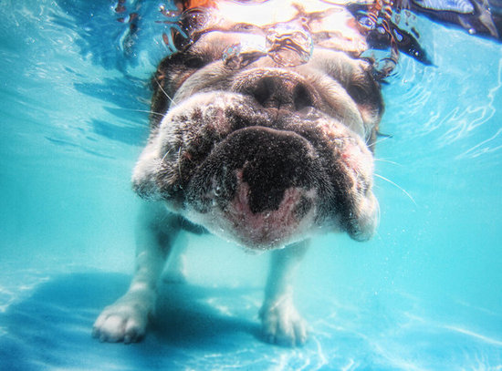 6. Get Wet!