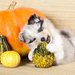 Pumpkins