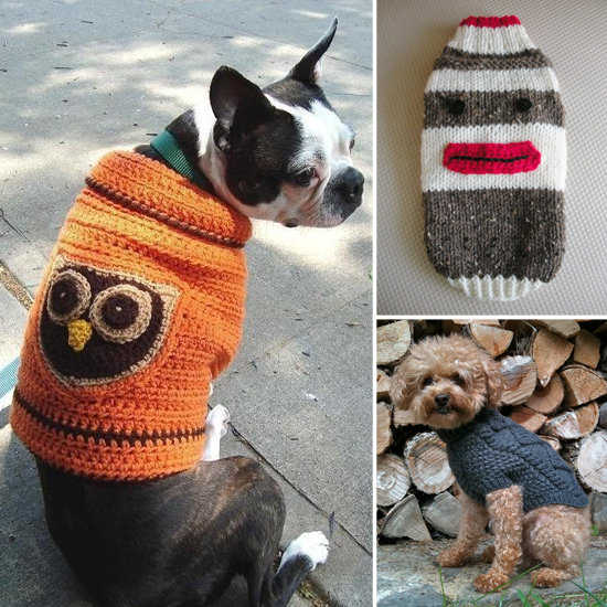 Best Fall Sweaters For Dogs and Cats POPSUGAR Pets