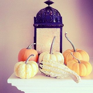 Fall Decor Inspiration