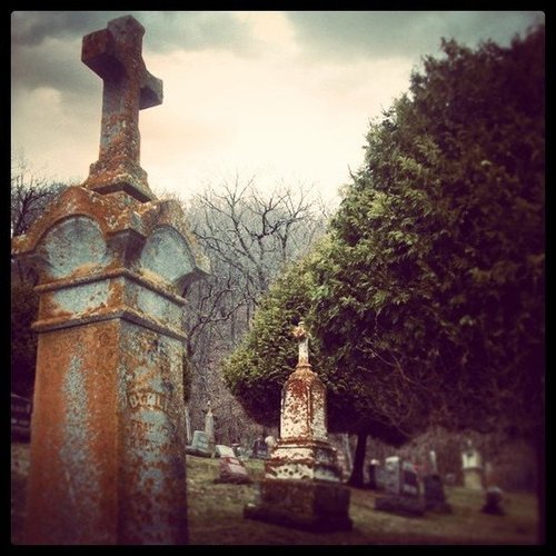 Picnic at a Graveyard Picnic at a Graveyard