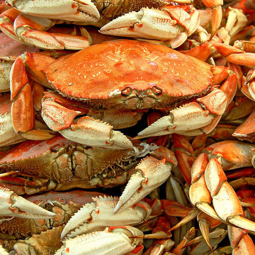 How to Buy and Prep Seafood