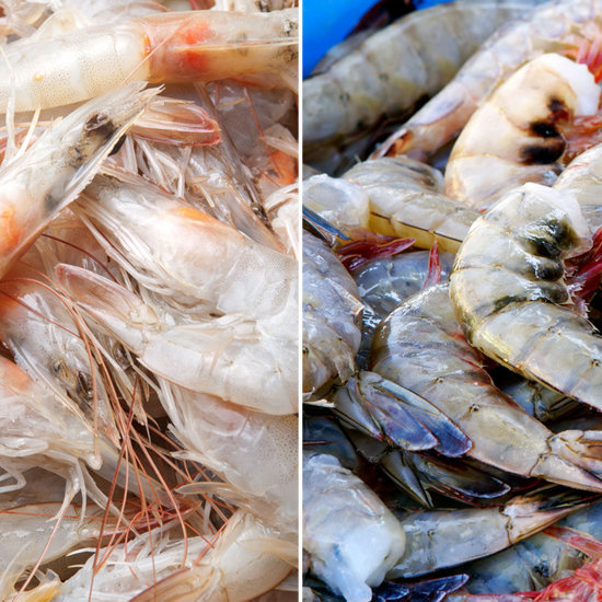 Shrimp 