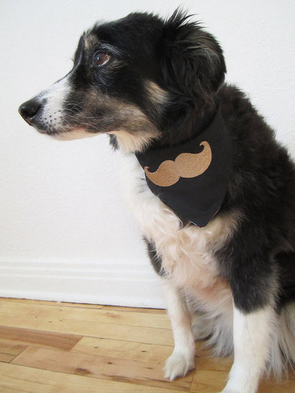 Mustache Bandanna